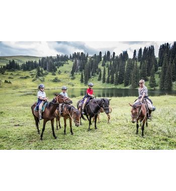 На конях по Узбекистану и Киргизии